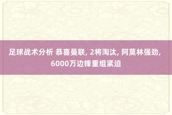 足球战术分析 恭喜曼联, 2将淘汰, 阿莫林强劲, 6000万边锋重组紧迫