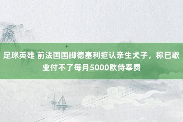 足球英雄 前法国国脚德塞利拒认亲生犬子，称已歇业付不了每月5000欧侍奉费