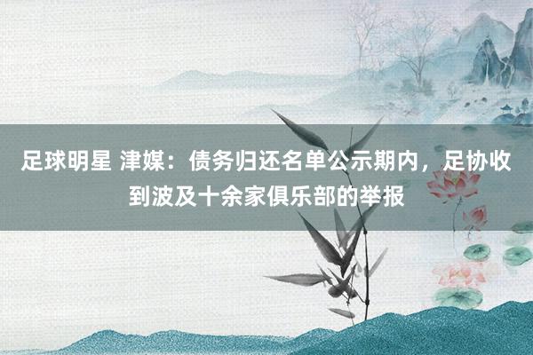 足球明星 津媒：债务归还名单公示期内，足协收到波及十余家俱乐部的举报