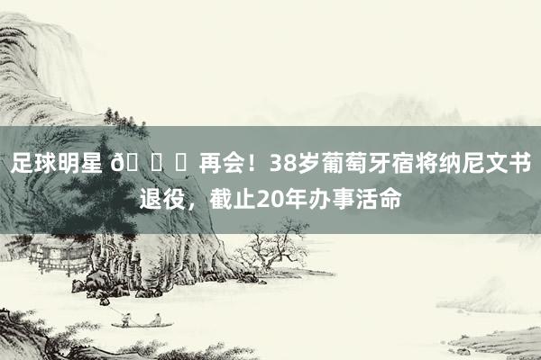 足球明星 👋再会！38岁葡萄牙宿将纳尼文书退役，截止20年办事活命